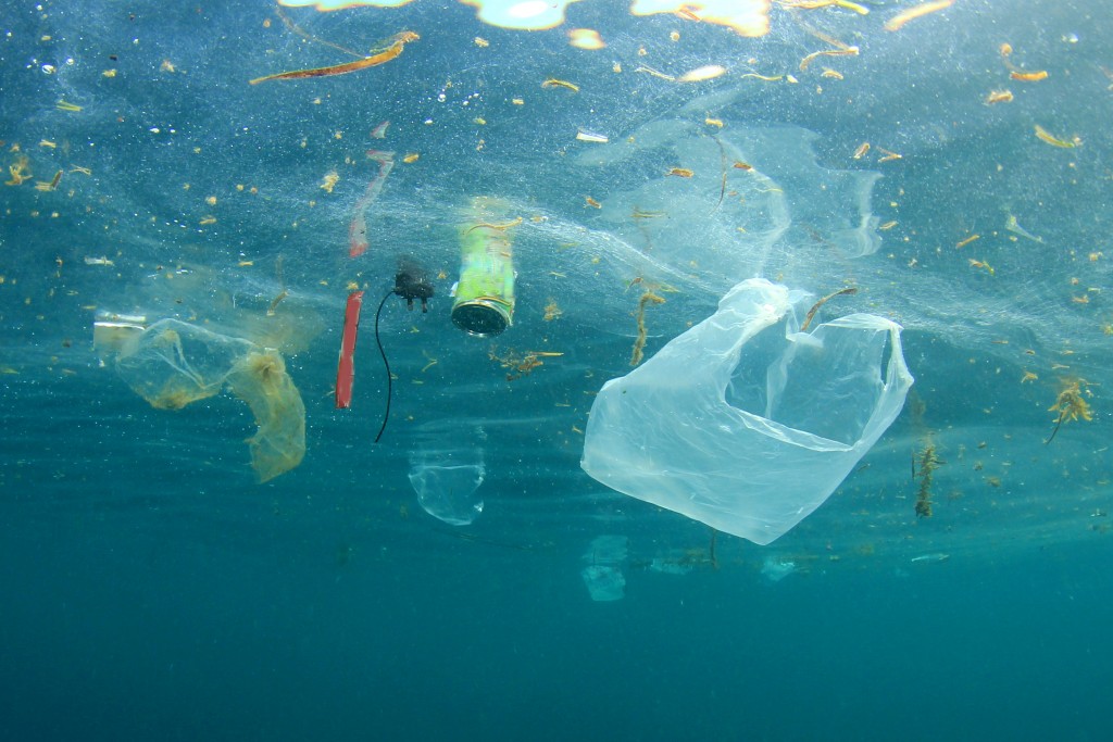 Plastic pollution floating in the water