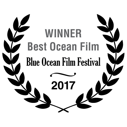 Winner Best Ocean Film - Blue Ocean Film Festival 2017