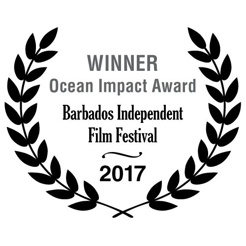 Winner Ocean Impact Award - Barbados Independent Film Festival 2017