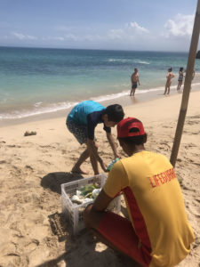 Nicholas cleaning up the beach in Bali.
