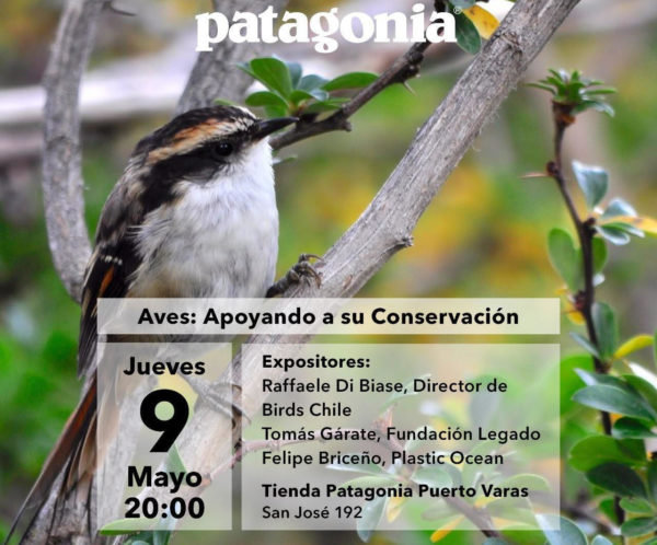Birds: Supporting their Conservation