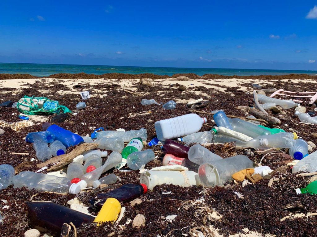 Plastic on a Beach