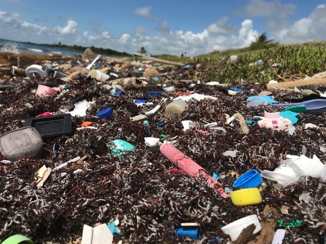 Biosfera de Sian Ka´an, mayo 2019..