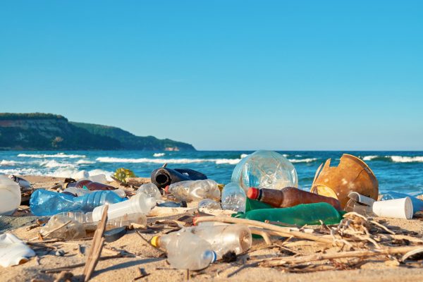 Clayton Heights Secondary A Plastic Ocean Screening