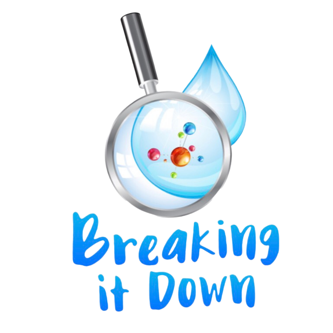 BREAKING IT DOWN_LOGO Breaking It Down logo