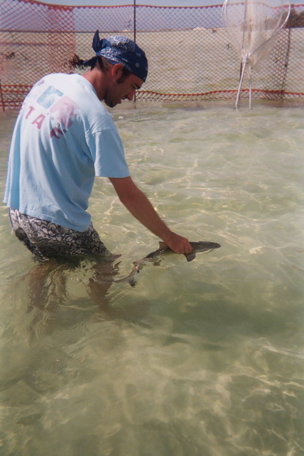 Bimini Sharklab
