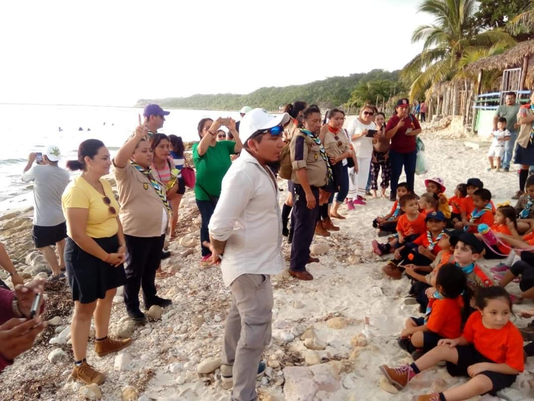 Turtle education in Seybaplaya, Mexico