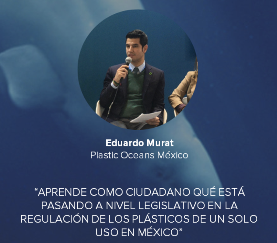 Aprende Como Ciudadano Qué Está Pasando A Nivel Legislativo En La Regulación De Los Plásticos De Un Solo Uso En México
