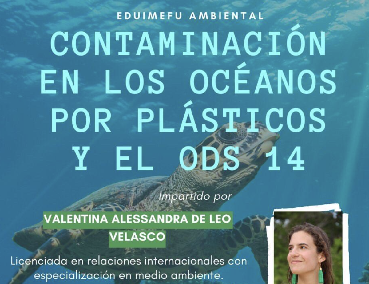 Contaminación en los Océanos por Plásticos y el ODS 14
