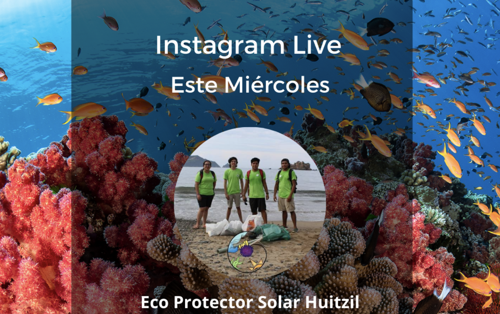 Explorando Alternativas Sostenibles: Protector Solar