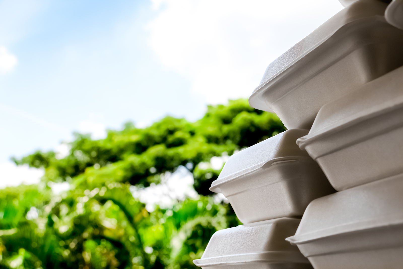 Styrofoam Packaging
