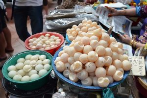 Turtle Eggs