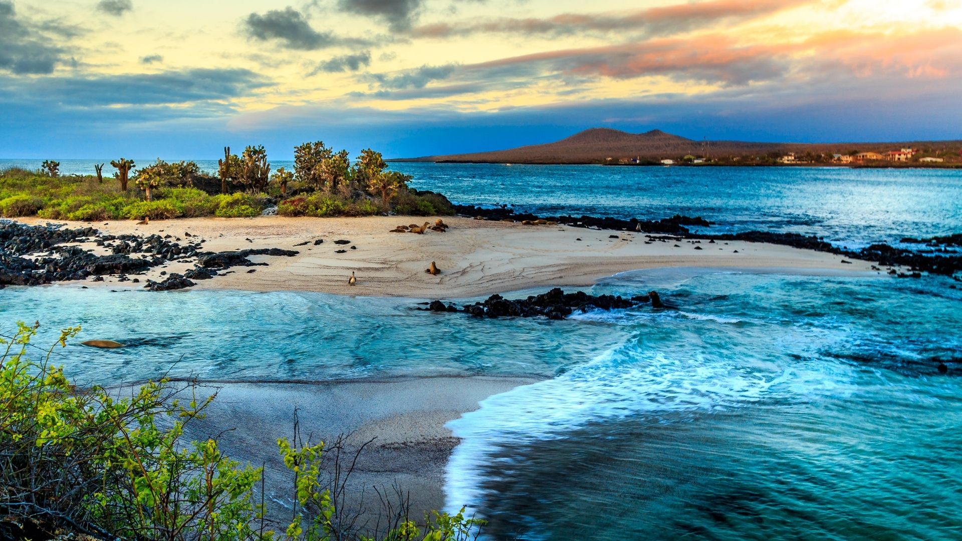 Galapagos Islands
