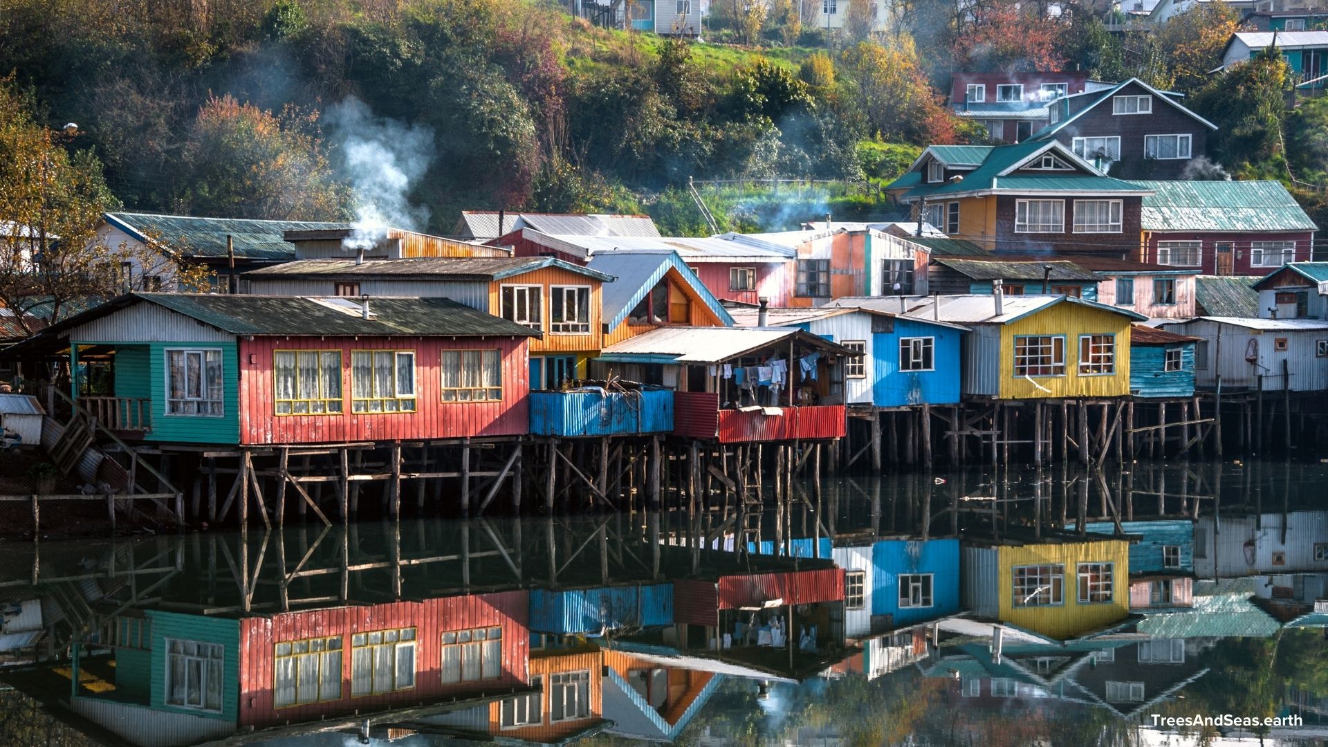 chiloe-island_waterfront_web Trees & Seas