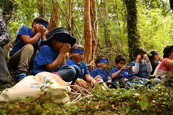 Fundación MERI's youth education in the field.