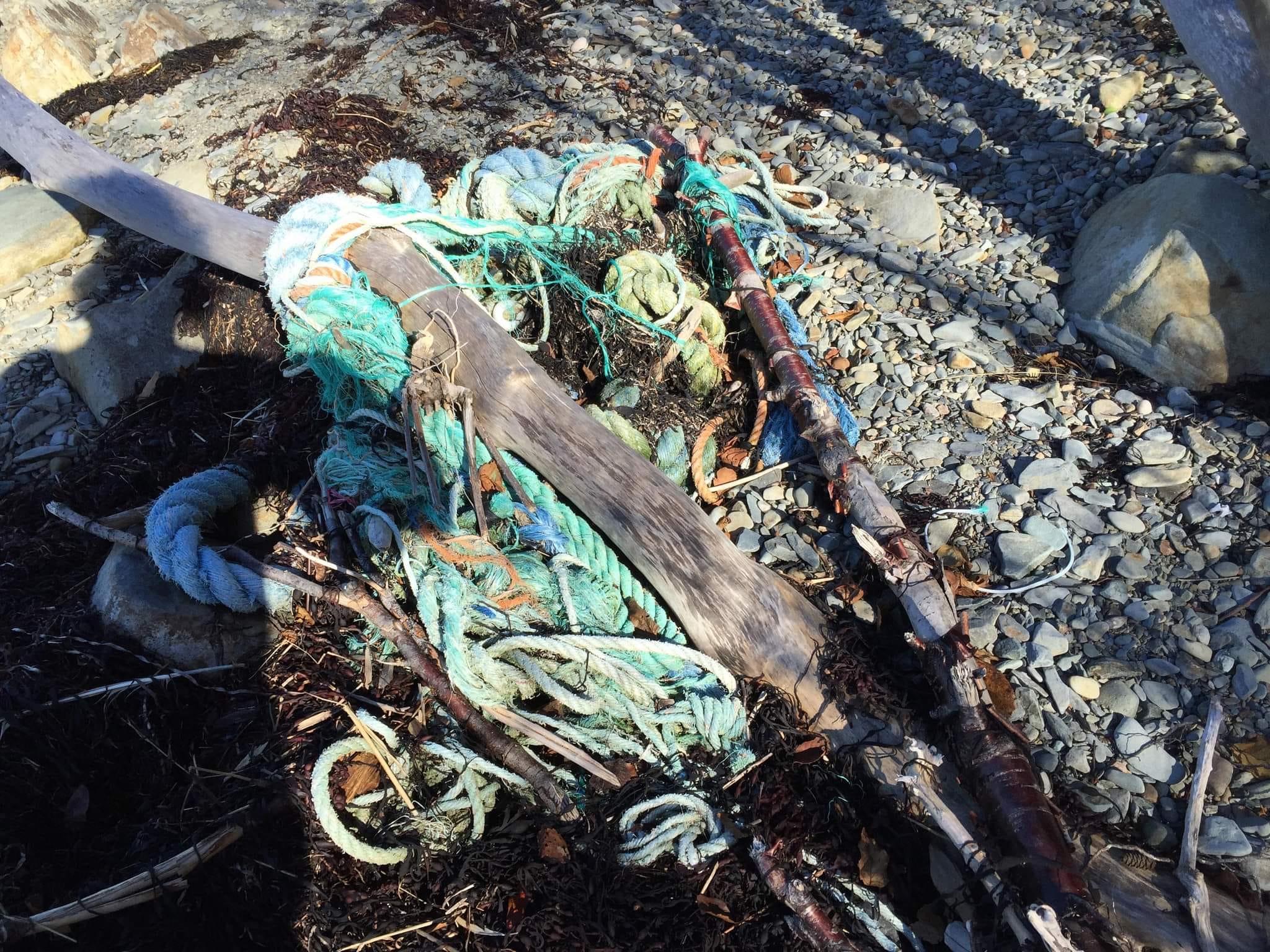 Plastic pollution in Nova Scotia