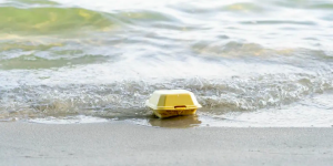 Contenedor de unicel en la playa.