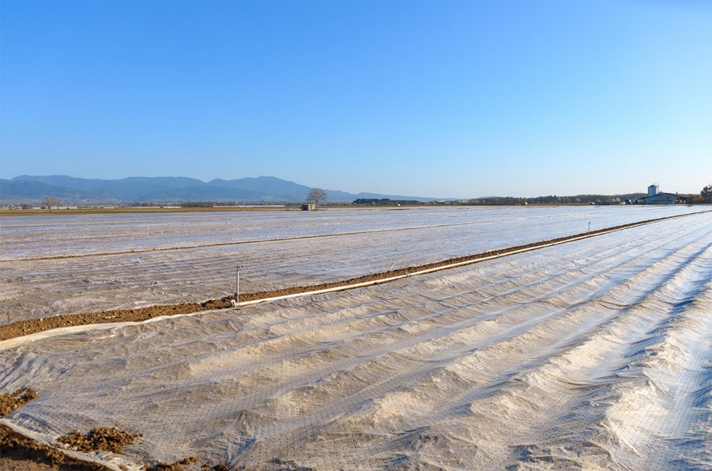 plastic and farming