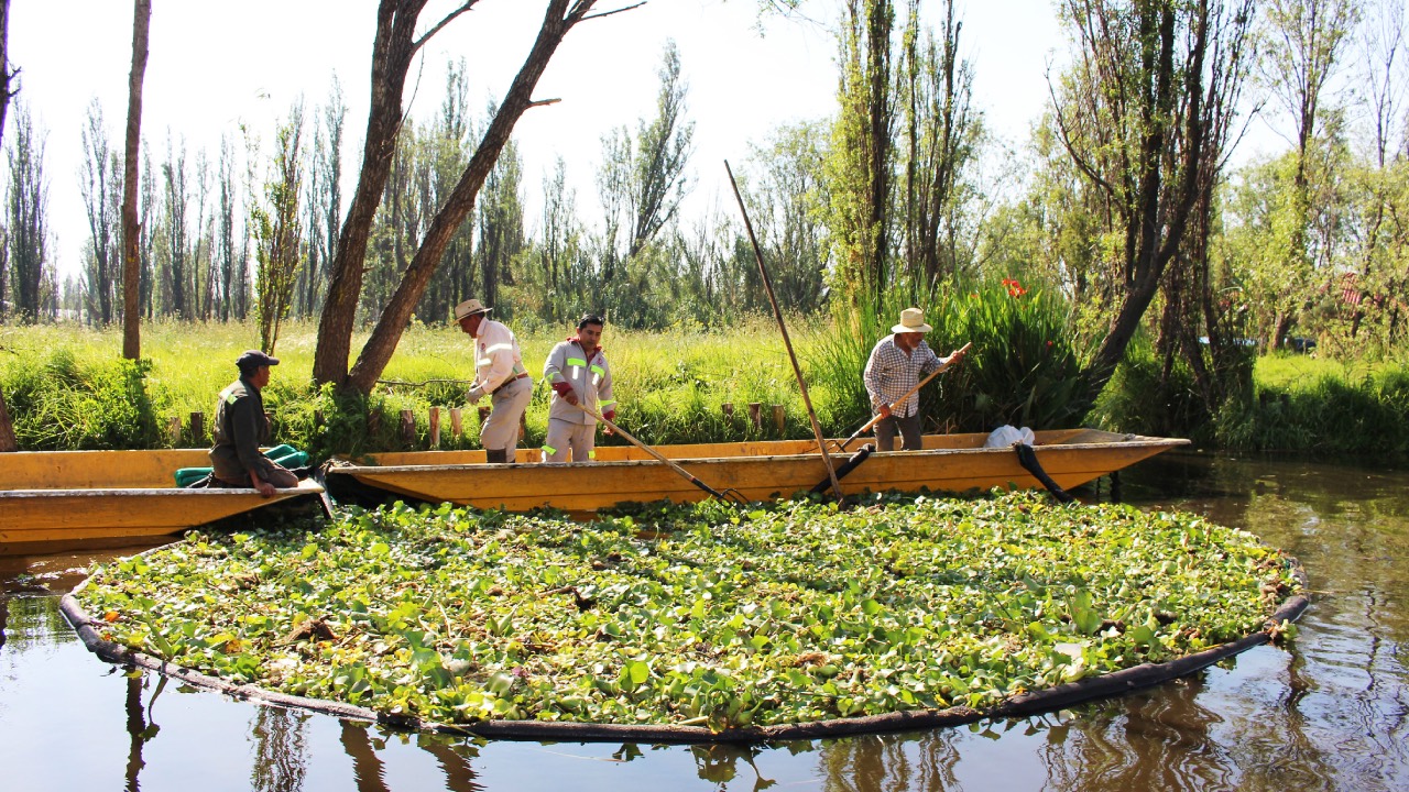 Chinampas de Xochimilco