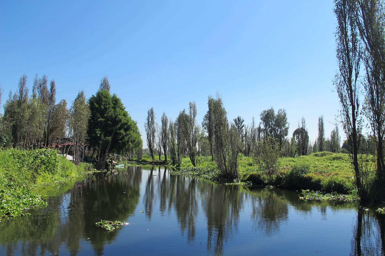 Humedales de Xochimilco.