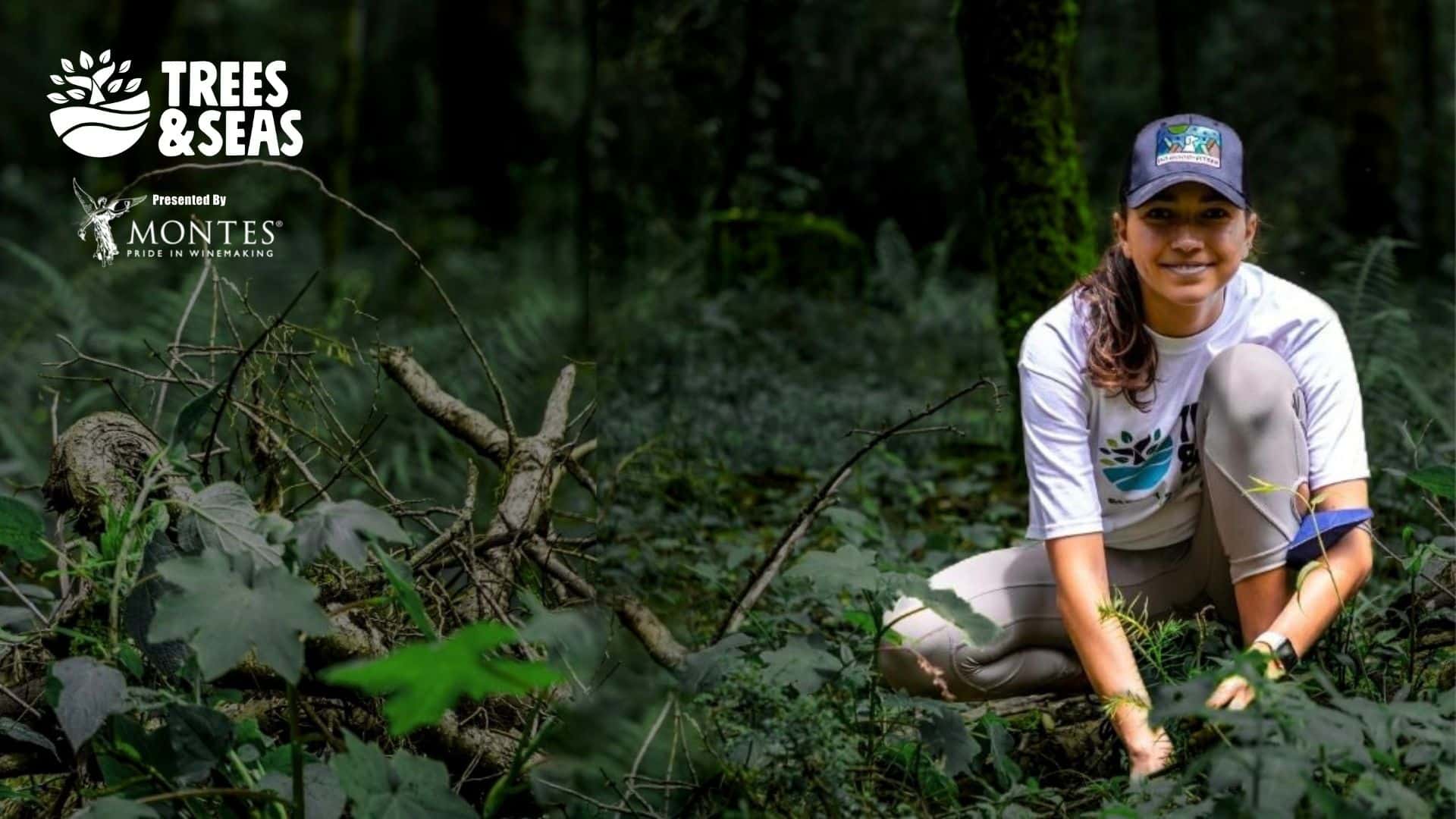 Tree planting