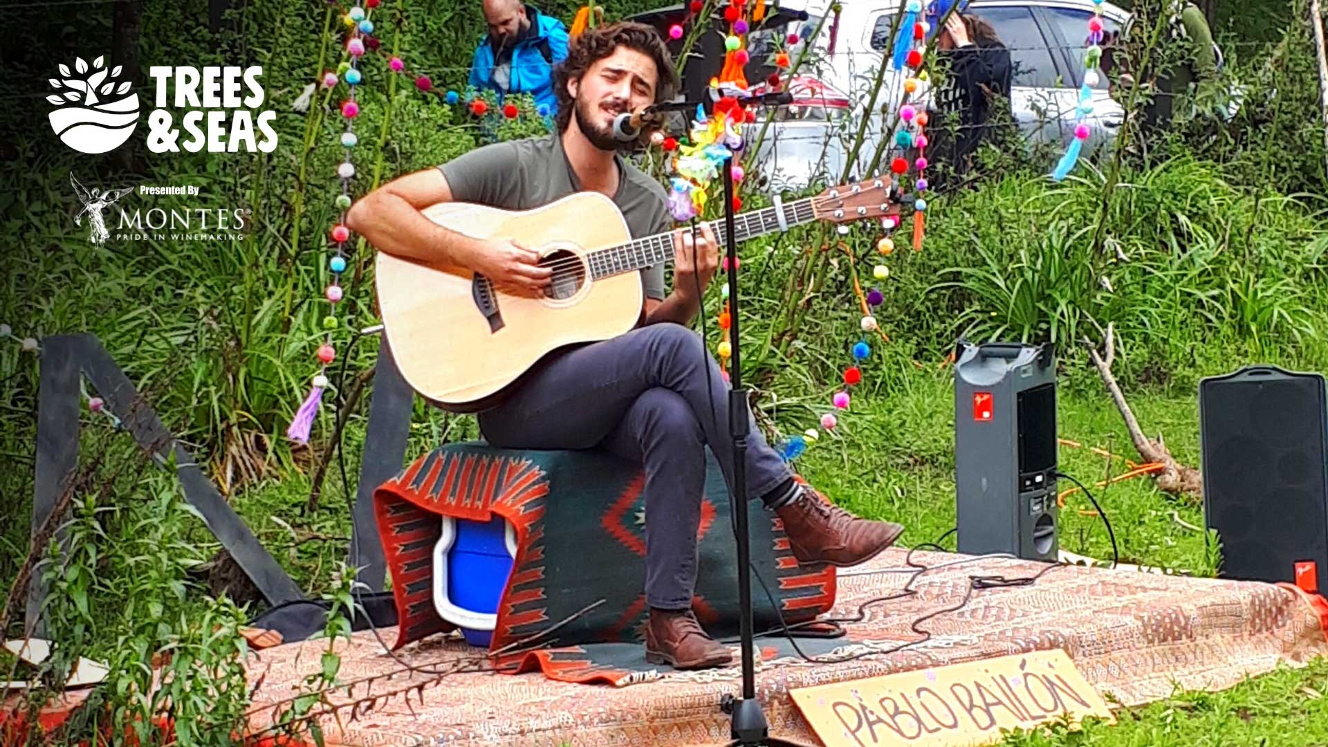 Live music and tree planting in Mexico State