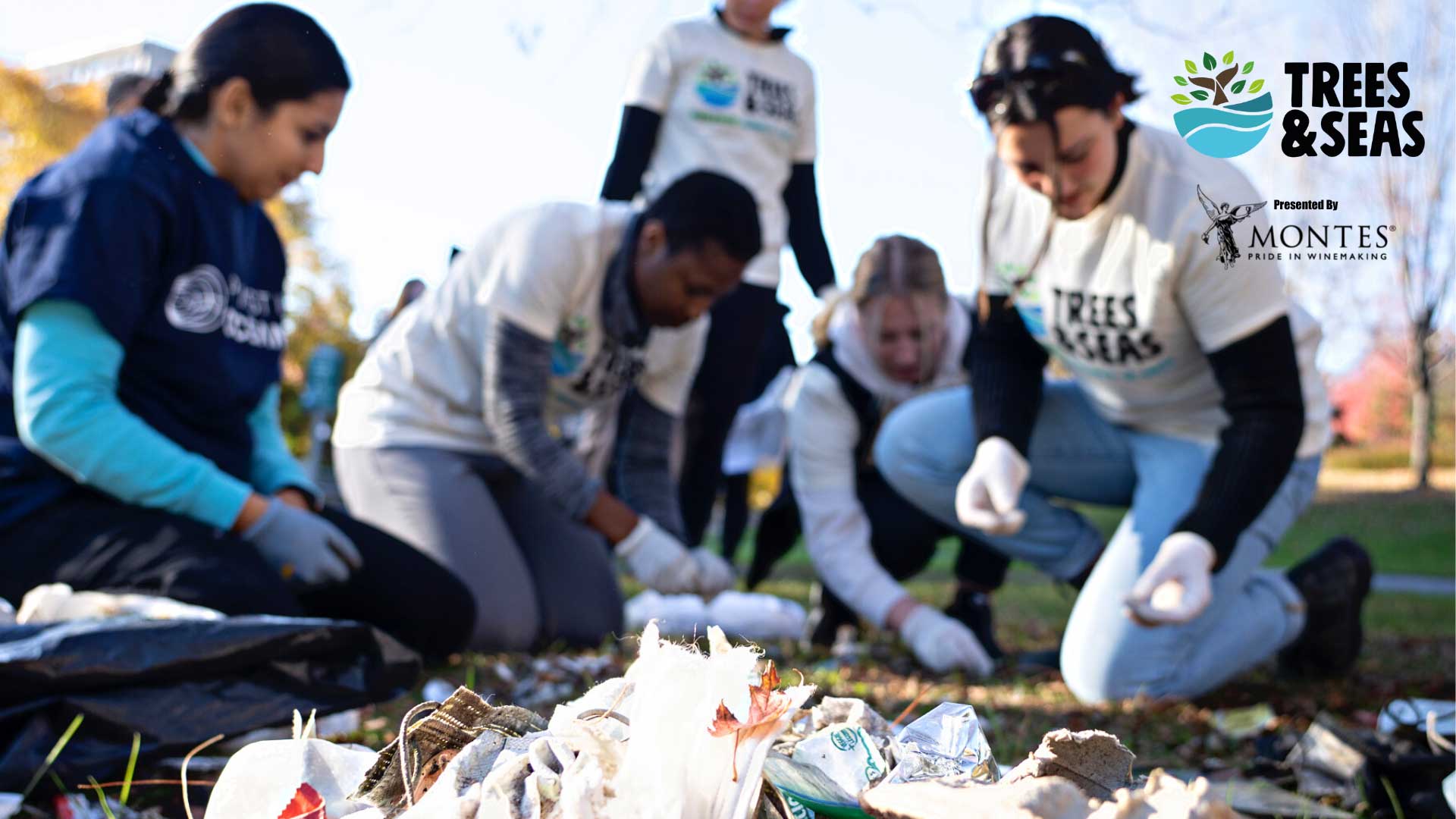 Park cleanup in Detroit for Trees & Seas