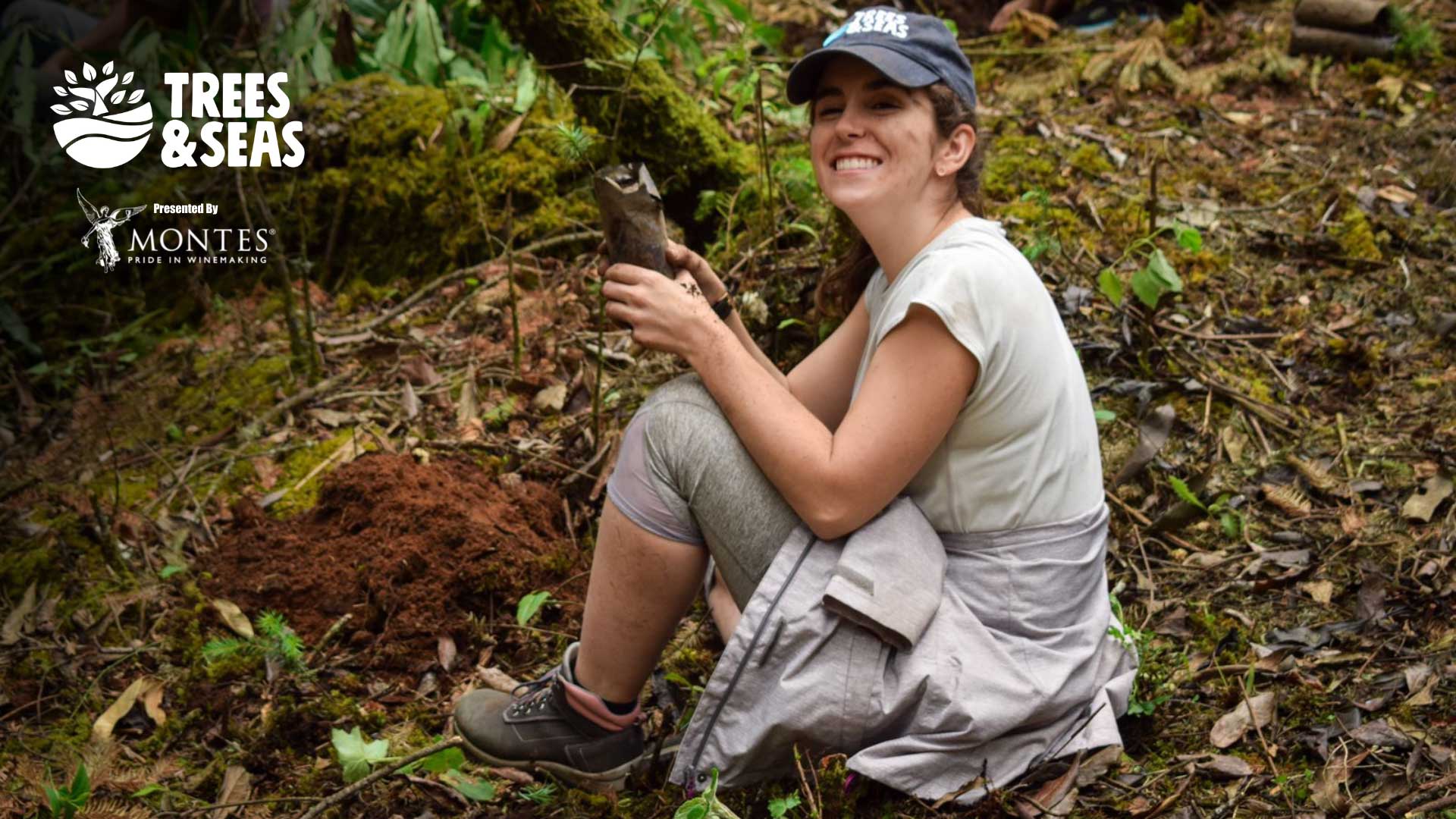 Tree planting in Mexico State