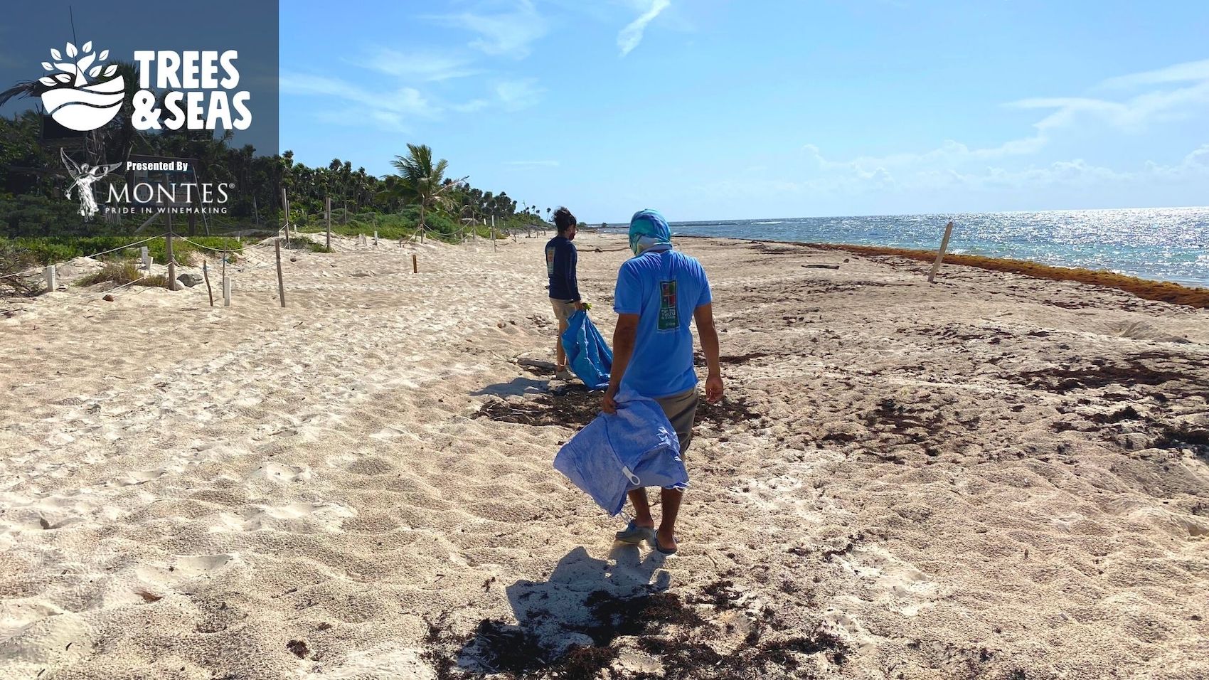 Beach cleanup