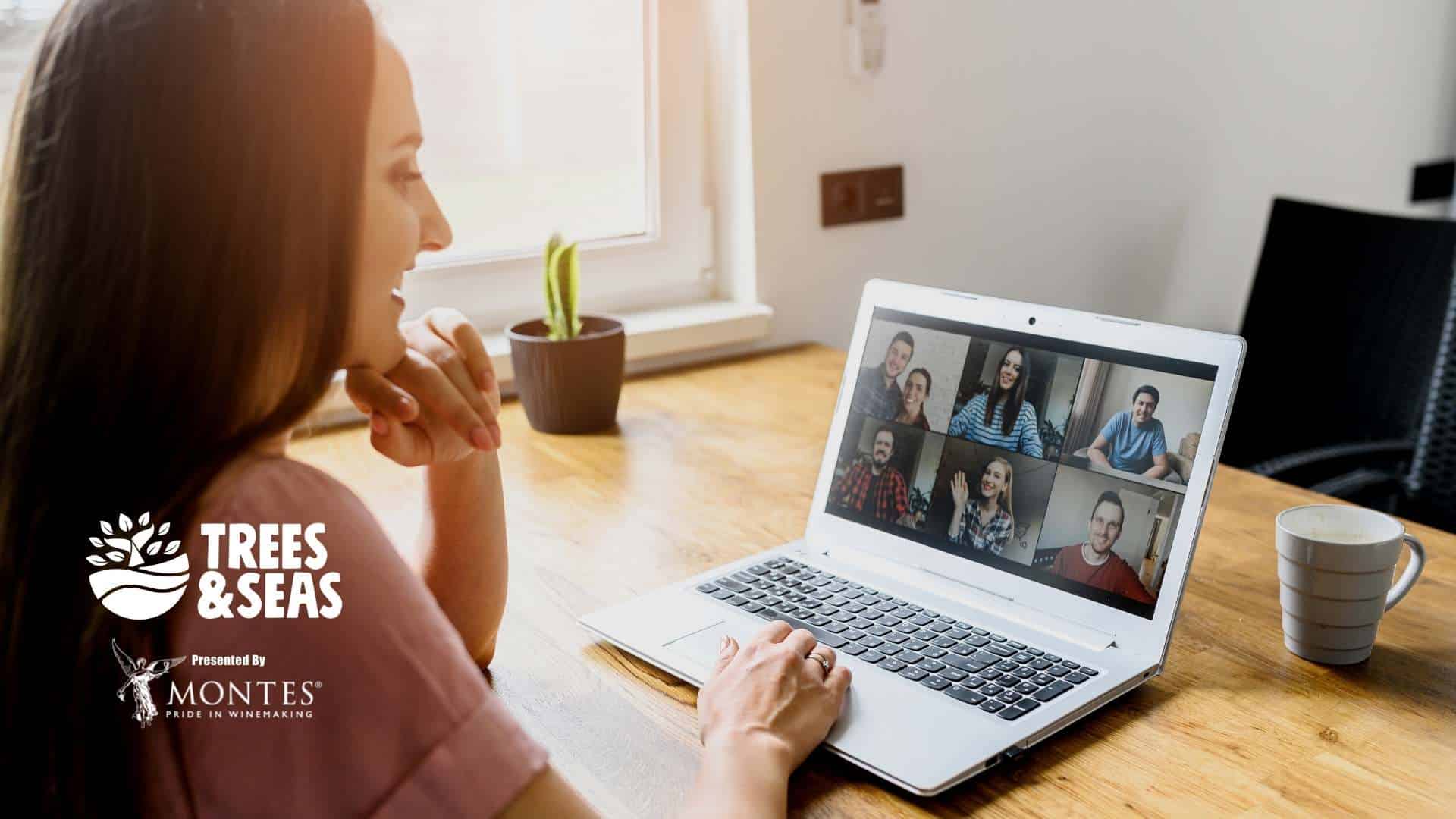 Online workshop or panel