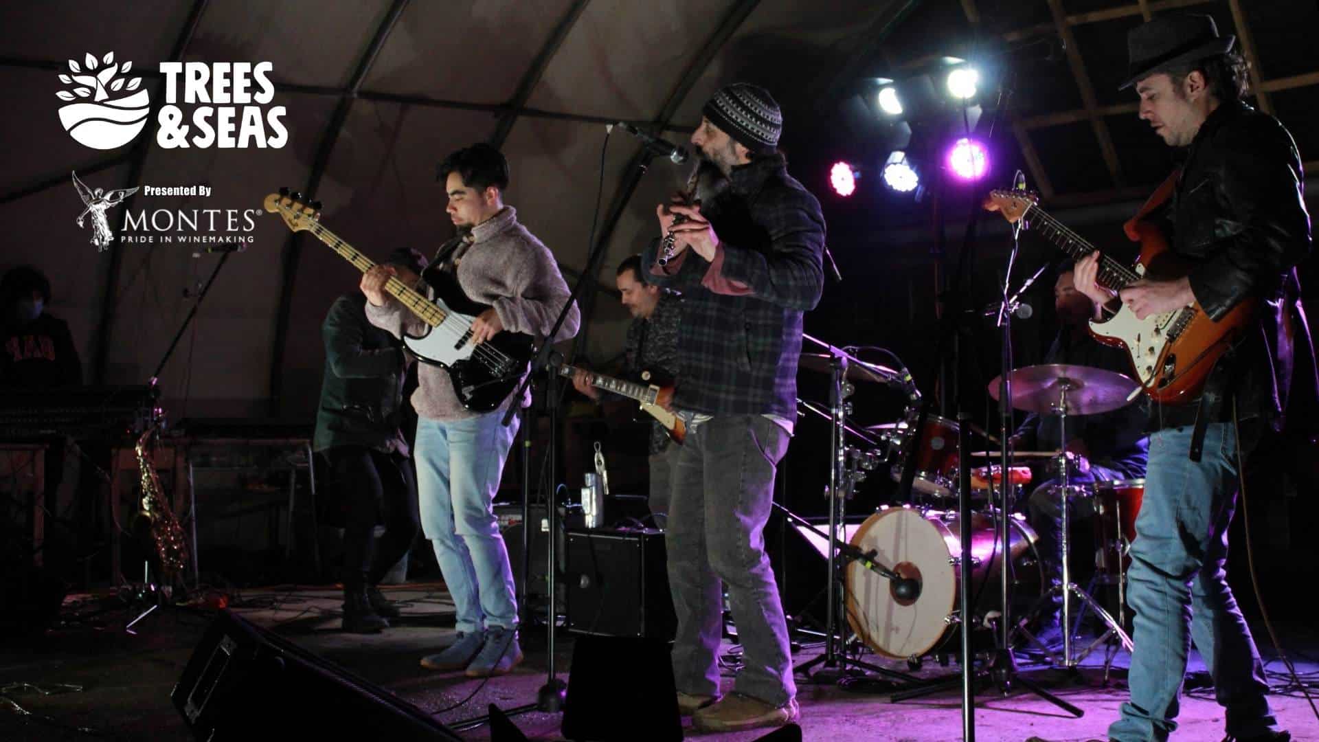 Music festival