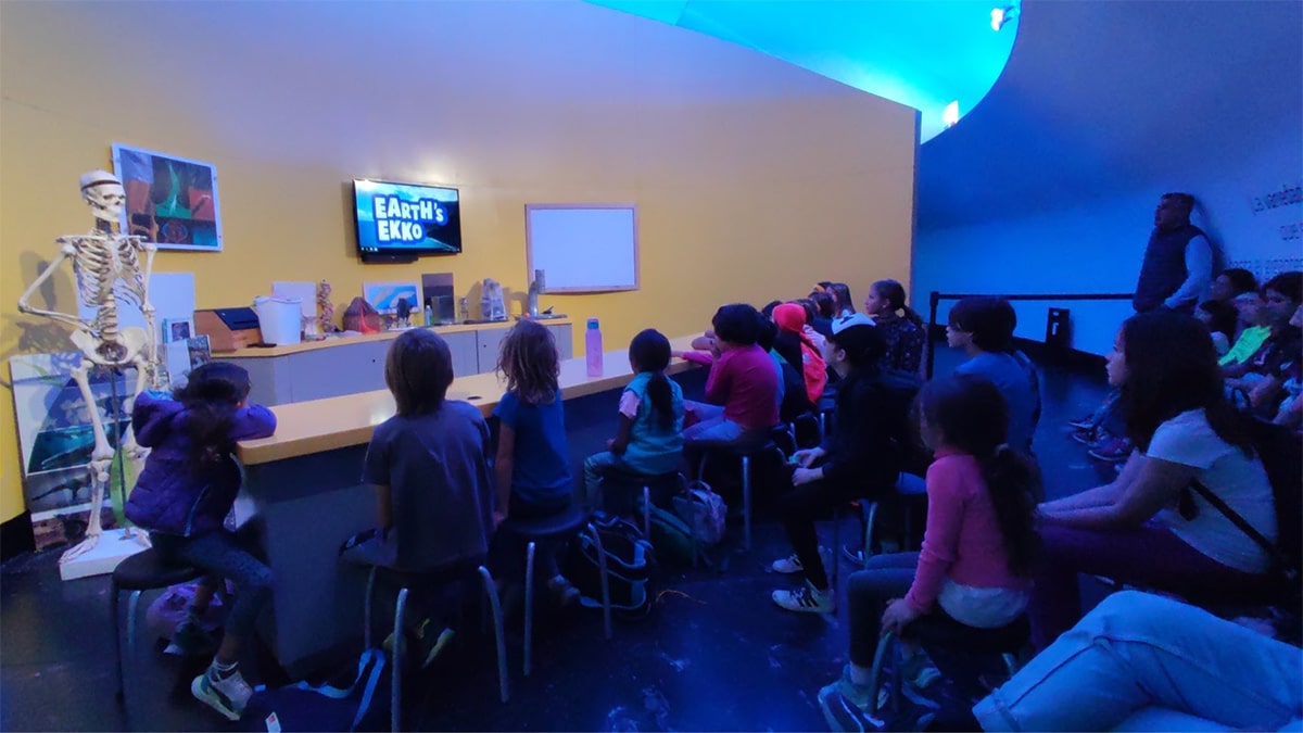 classroom film screening